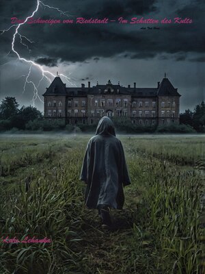 Das Schweigen von Riedstadt – Im Schatten des Kults - Audiobook